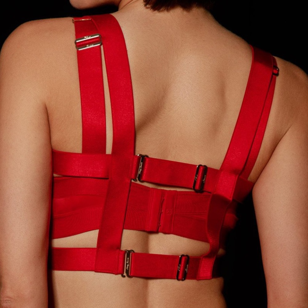 โค๏ธโ๐ฅ HONEY BIRDETTE GIA BRA & HARNESS NWT SIZE 32B RED - Picture 3 of 10
